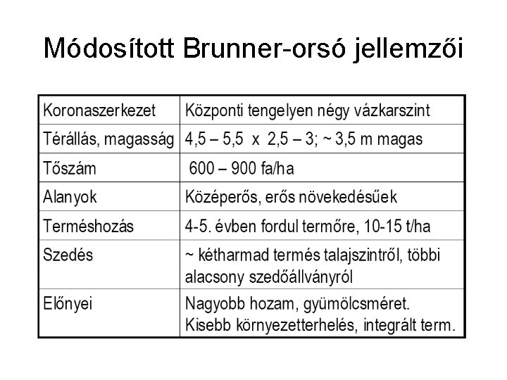 Módosított Brunner-orsó jellemzői 