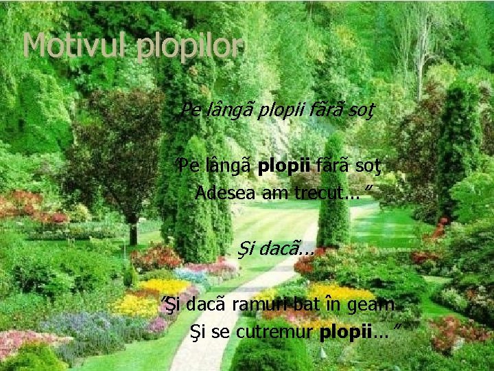 Motivul plopilor Pe lângã plopii fãrã soţ ”Pe lângã plopii fãrã soţ Adesea am