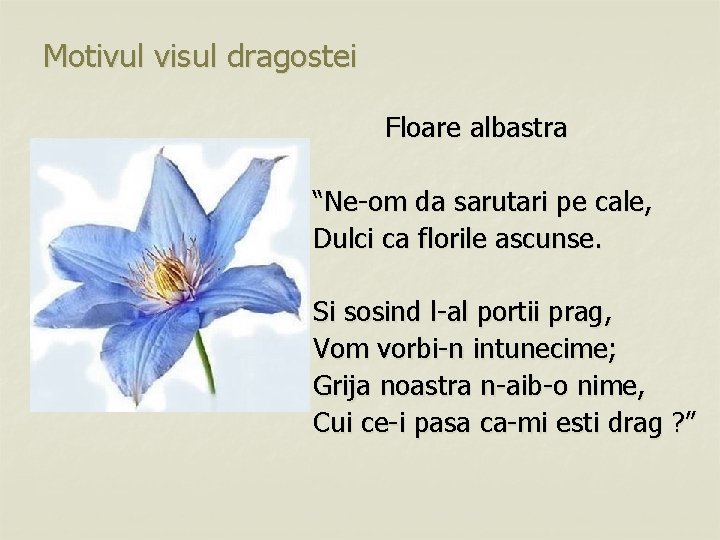 Motivul visul dragostei Floare albastra “Ne-om da sarutari pe cale, Dulci ca florile ascunse.