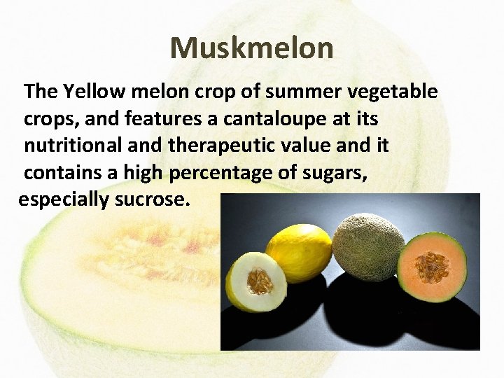 Muskmelon The Yellow melon crop of summer vegetable crops, and features a cantaloupe at