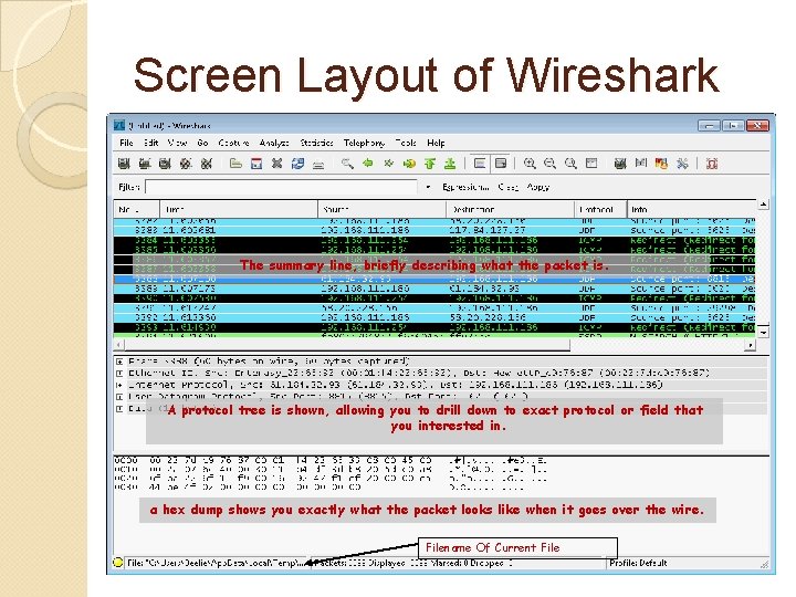 Screen Layout of Wireshark The summary line, briefly describing what the packet is. A