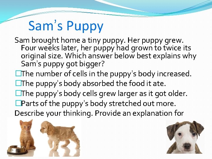 Sam’s Puppy Sam brought home a tiny puppy. Her puppy grew. Four weeks later,