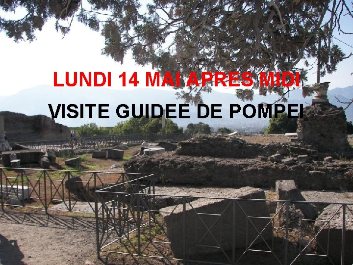 LUNDI 14 MAI APRES MIDI VISITE GUIDEE DE POMPEI 