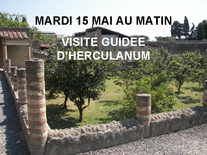 MARDI 15 MAI AU MATIN VISITE GUIDEE D’HERCULANUM 