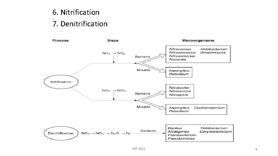 6. Nitrification 7. Denitrification KRT-2011 1 