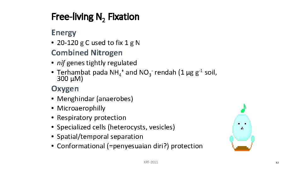 Free-living N 2 Fixation Energy • 20 -120 g C used to fix 1