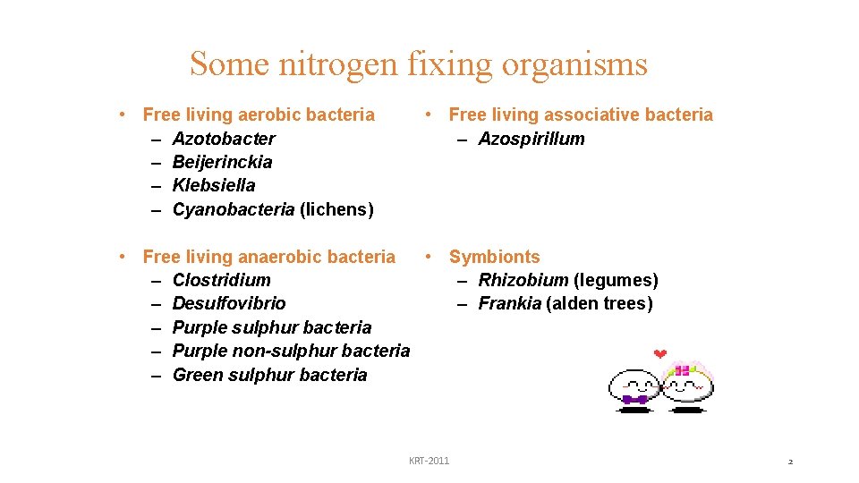 Some nitrogen fixing organisms • Free living aerobic bacteria – Azotobacter – Beijerinckia –