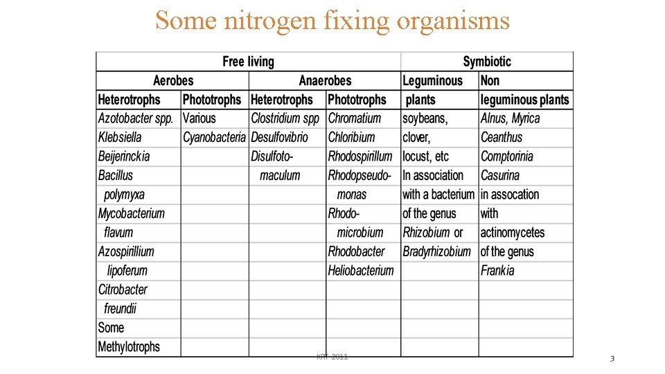 Some nitrogen fixing organisms KRT-2011 3 