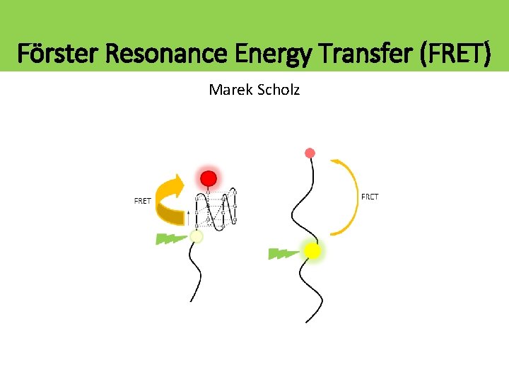 Förster Resonance Energy Transfer (FRET) Marek Scholz 