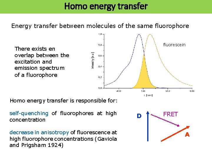 Homo energy transfer Energy transfer between molecules of the same fluorophore fluorescein There exists