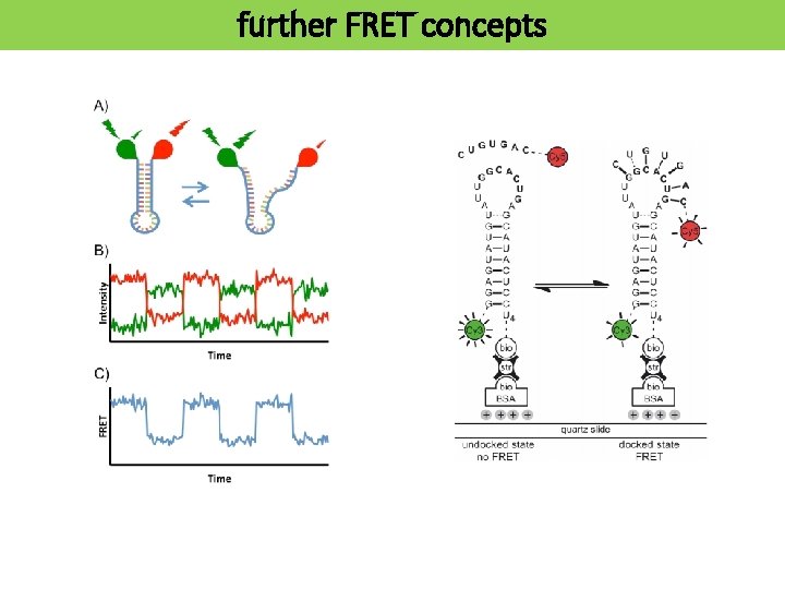 further FRET concepts 