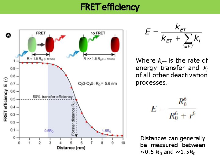 FRET efficiency Where k. ET is the rate of energy transfer and ki of