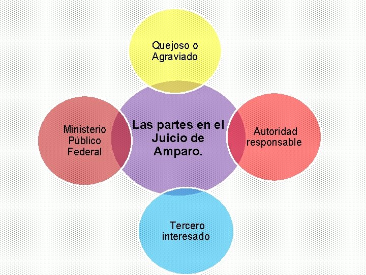 Quejoso o Agraviado Ministerio Público Federal Las partes en el Juicio de Amparo. Tercero