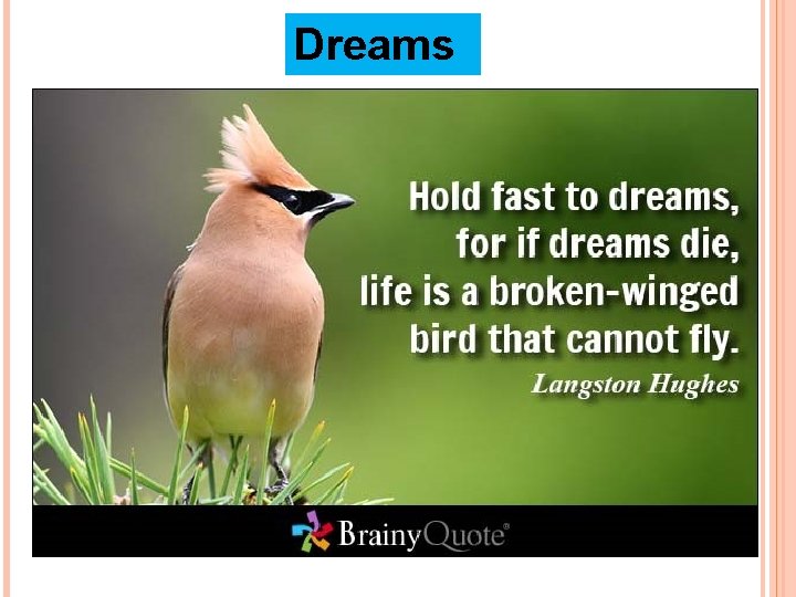 Dreams 