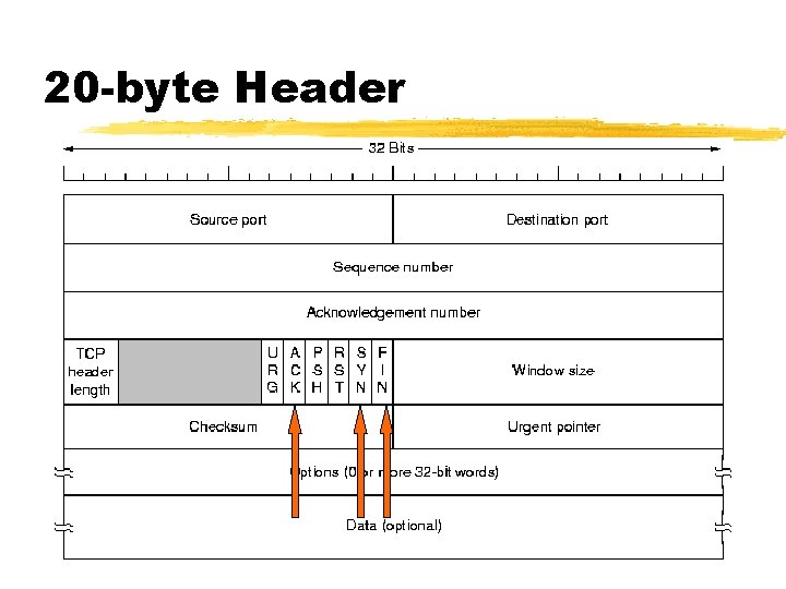 20 -byte Header 