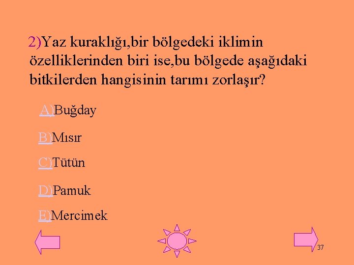 2)Yaz kuraklığı, bir bölgedeki iklimin özelliklerinden biri ise, bu bölgede aşağıdaki bitkilerden hangisinin tarımı