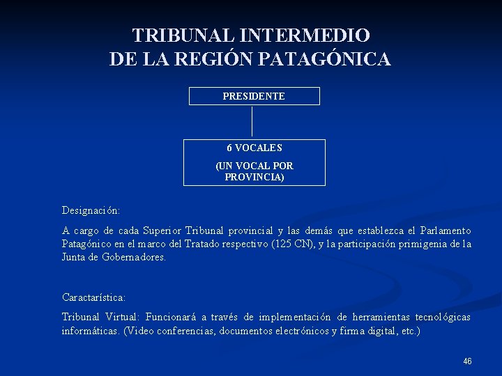 TRIBUNAL INTERMEDIO DE LA REGIÓN PATAGÓNICA PRESIDENTE 6 VOCALES (UN VOCAL POR PROVINCIA) Designación: