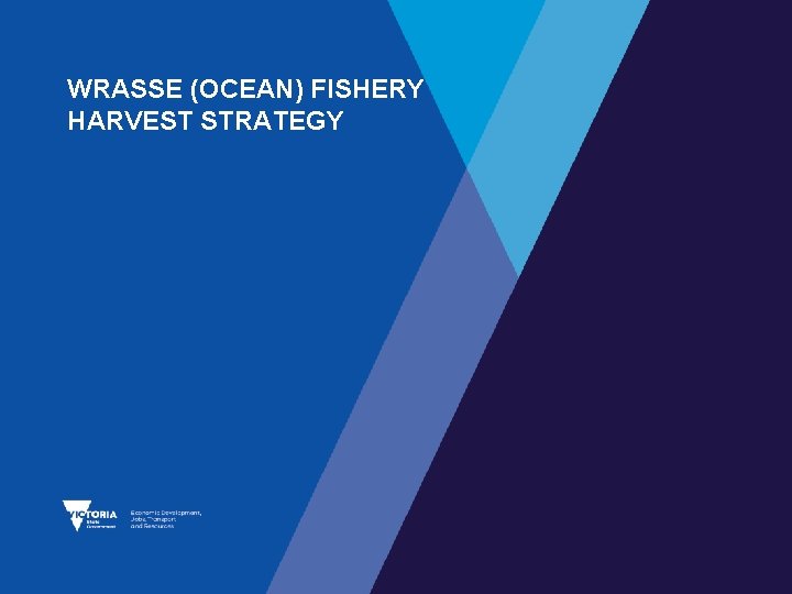 WRASSE (OCEAN) FISHERY HARVEST STRATEGY 