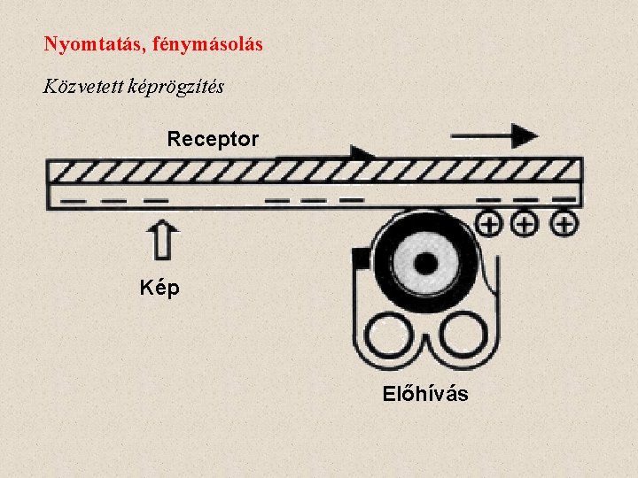 Nyomtatás, fénymásolás Közvetett képrögzítés Receptor Kép Előhívás 