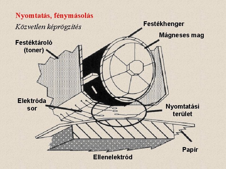 Nyomtatás, fénymásolás Közvetlen képrögzítés Festékhenger Mágneses mag Festéktároló (toner) Elektróda sor Nyomtatási terület Papír