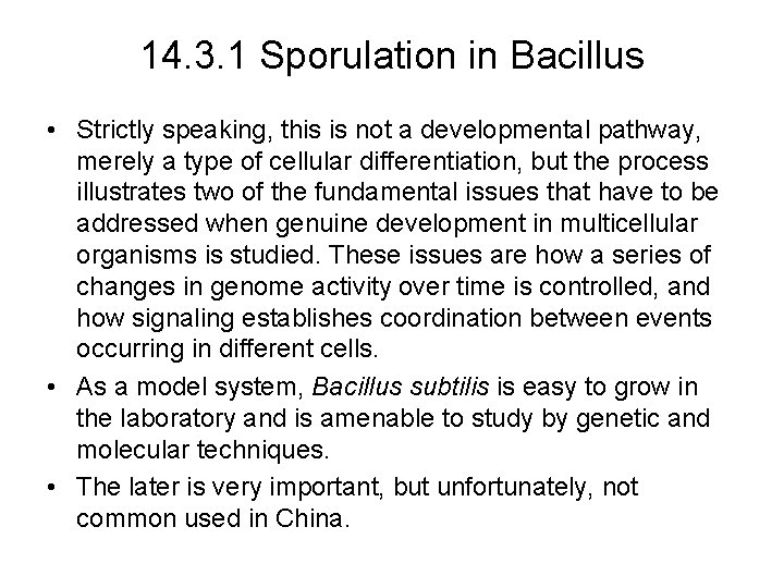 14. 3. 1 Sporulation in Bacillus • Strictly speaking, this is not a developmental