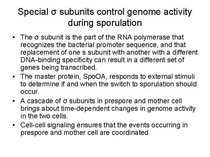 Special σ subunits control genome activity during sporulation • The σ subunit is the
