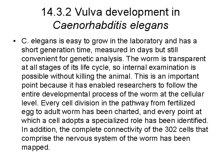 14. 3. 2 Vulva development in Caenorhabditis elegans • C. elegans is easy to