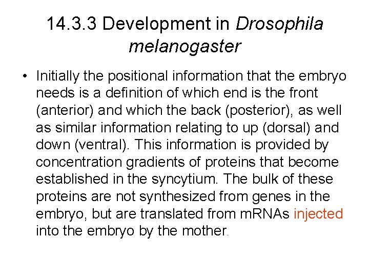 14. 3. 3 Development in Drosophila melanogaster • Initially the positional information that the
