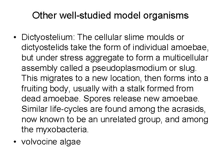 Other well-studied model organisms • Dictyostelium: The cellular slime moulds or dictyostelids take the