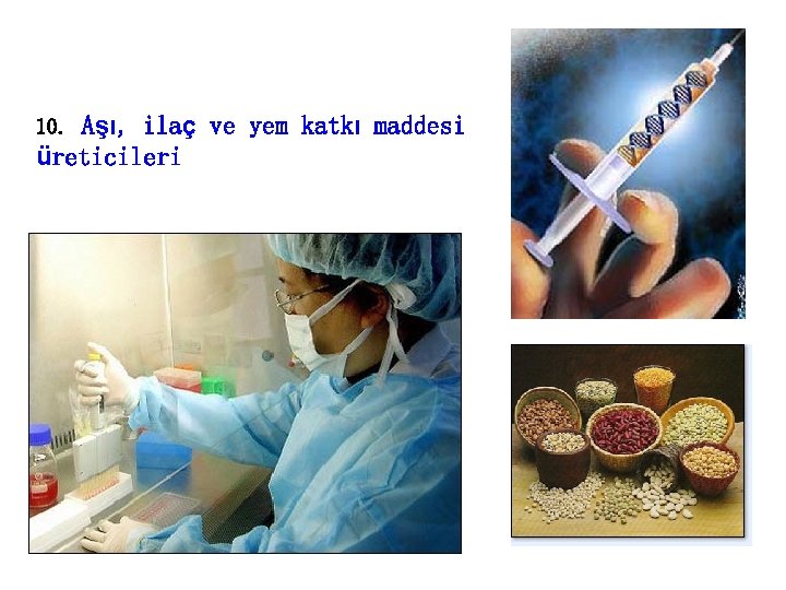 Aşı, ilaç ve yem katkı maddesi üreticileri 10. 