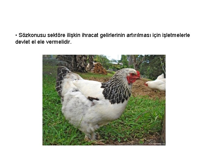  • Sözkonusu sektöre ilişkin ihracat gelirlerinin artırılması için işletmelerle devlet el ele vermelidir.