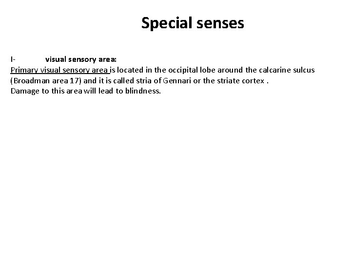 Special senses Ivisual sensory area: Primary visual sensory area is located in the occipital