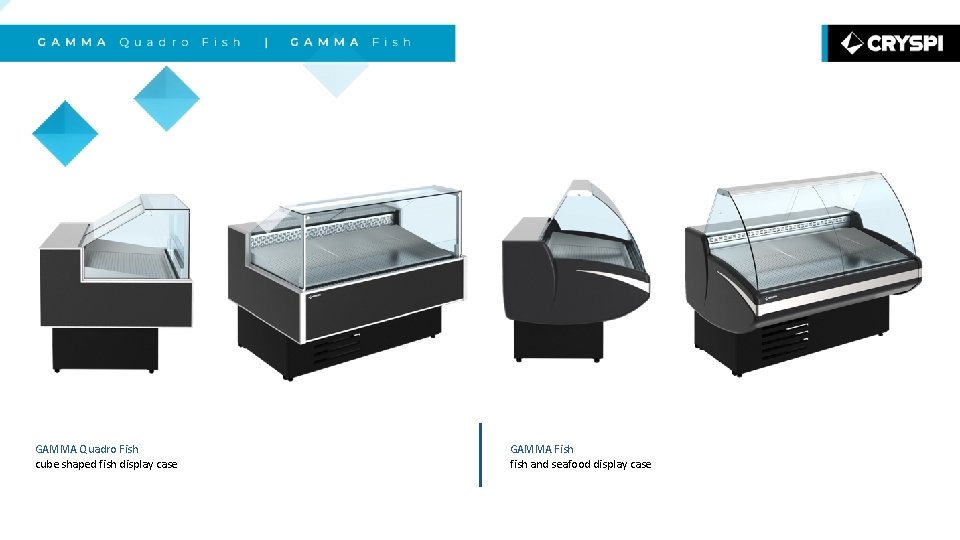 GAMMA Quadro Fish GAMMA Fish cube shaped fish display case fish and seafood display