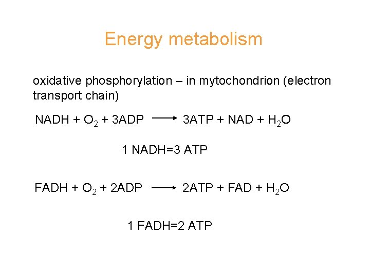 Energy metabolism oxidative phosphorylation – in mytochondrion (electron transport chain) NADH + O 2