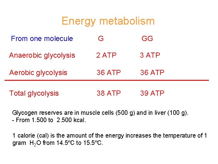 Energy metabolism From one molecule G GG Anaerobic glycolysis 2 ATP 3 ATP Aerobic