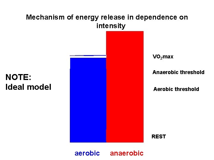 Mechanism of energy release in dependence on intensity VO 2 max Anaerobic threshold NOTE: