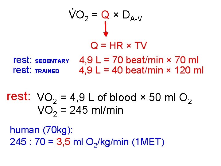 . VO 2 = Q × DA-V rest: SEDENTARY rest: TRAINED Q = HR