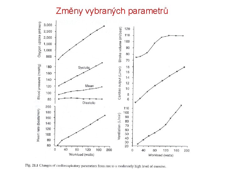 Změny vybraných parametrů 