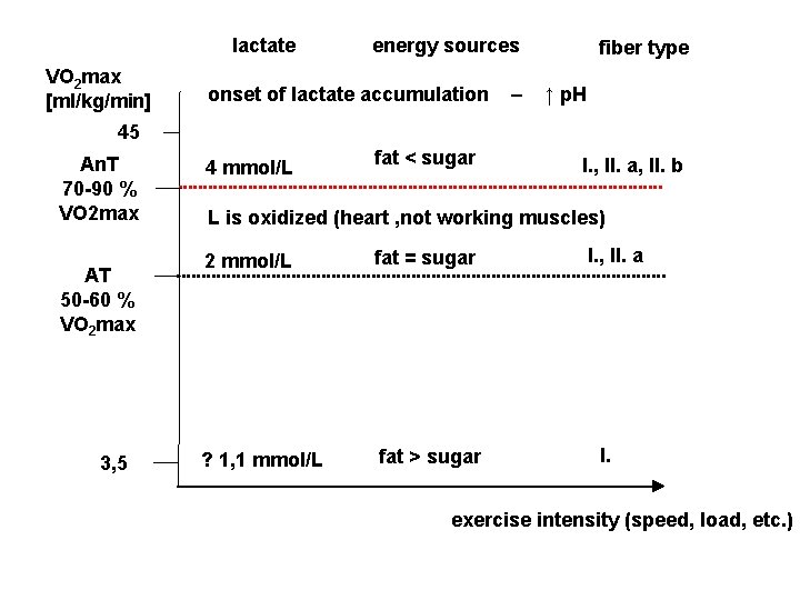 lactate VO 2 max [ml/kg/min] energy sources onset of lactate accumulation – fiber type