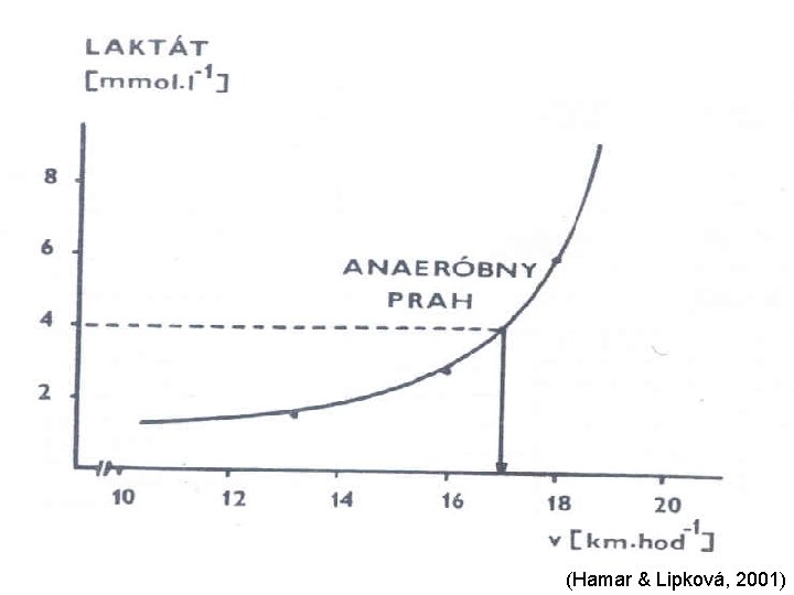 (Hamar & Lipková, 2001) 