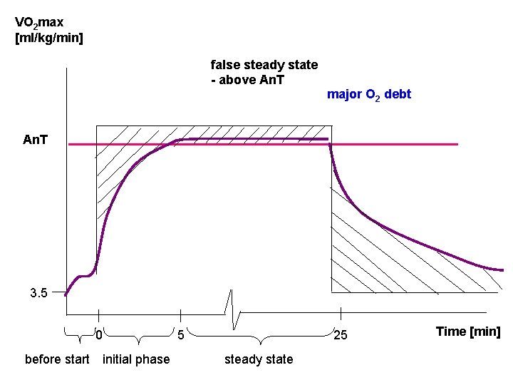 VO 2 max [ml/kg/min] false steady state - above An. T major O 2