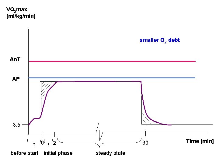 VO 2 max [ml/kg/min] smaller O 2 debt An. T AP 3. 5 0