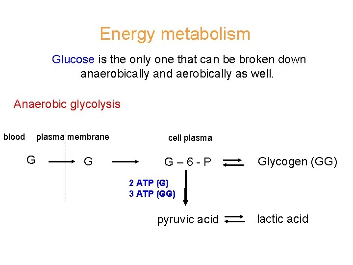 Energy metabolism Glucose is the only one that can be broken down anaerobically and