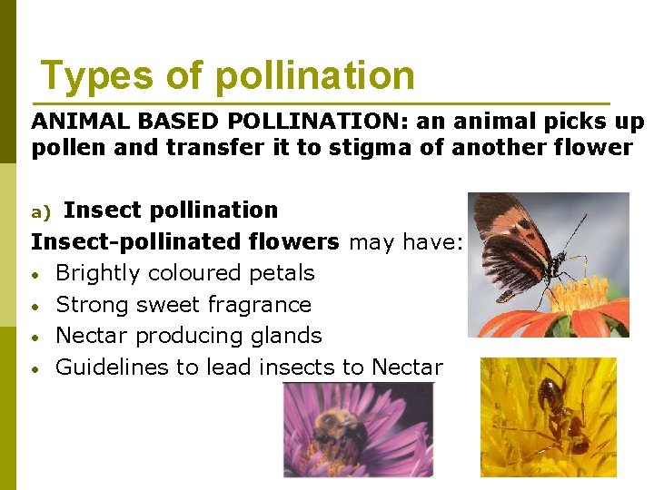 Types of pollination ANIMAL BASED POLLINATION: an animal picks up pollen and transfer it