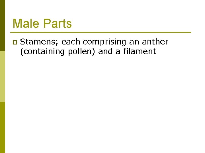 Male Parts p Stamens; each comprising an anther (containing pollen) and a filament 