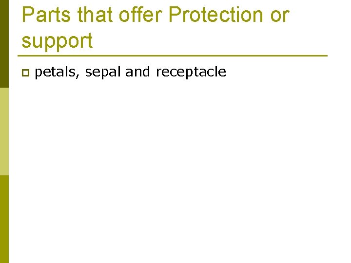 Parts that offer Protection or support p petals, sepal and receptacle 