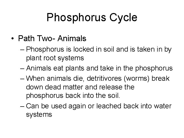 Phosphorus Cycle • Path Two- Animals – Phosphorus is locked in soil and is