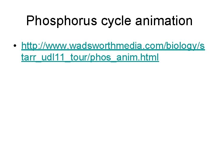 Phosphorus cycle animation • http: //www. wadsworthmedia. com/biology/s tarr_udl 11_tour/phos_anim. html 