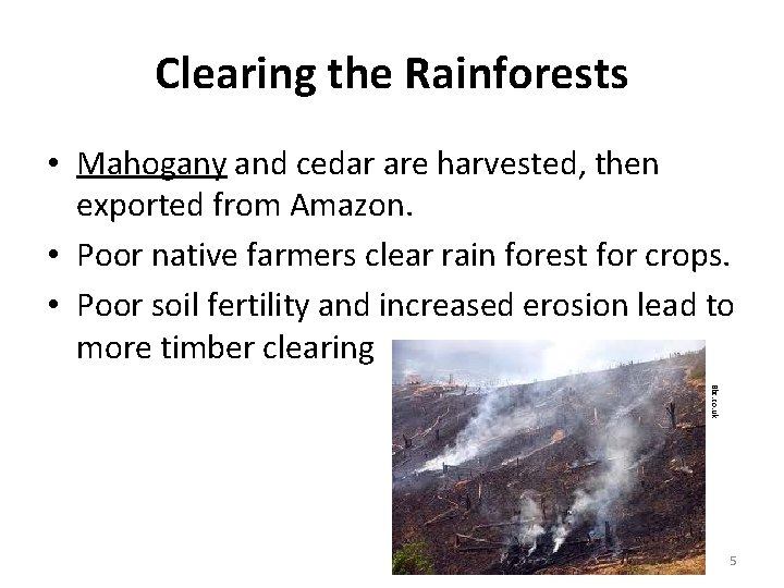 Clearing the Rainforests • Mahogany and cedar are harvested, then exported from Amazon. •