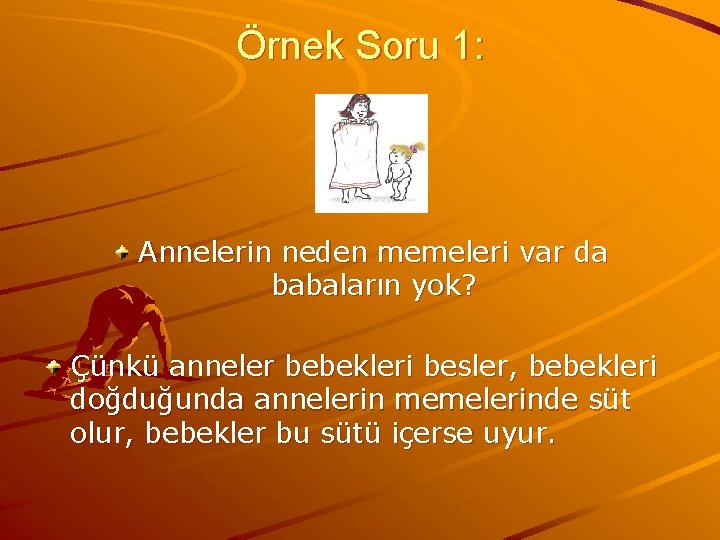 Örnek Soru 1: Annelerin neden memeleri var da babaların yok? Çünkü anneler bebekleri besler,